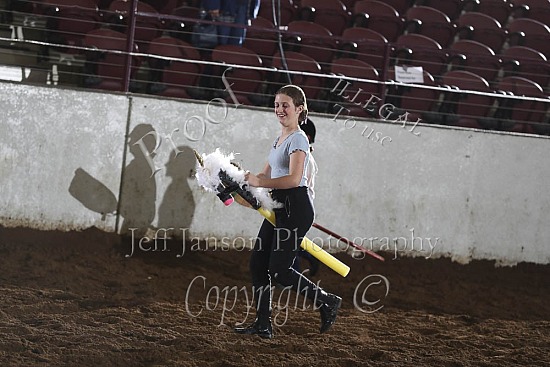 Stick Horse