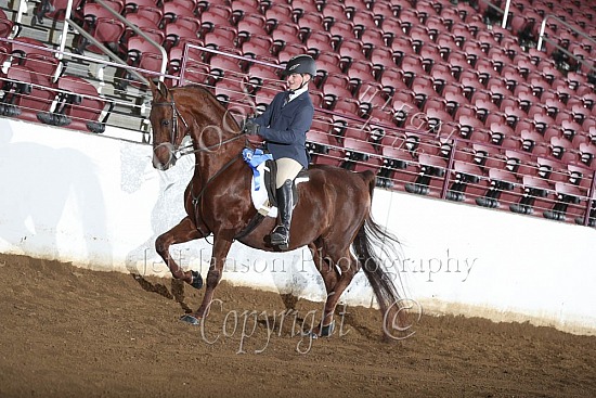 Open Hunt Seat Equitation 17 & Under