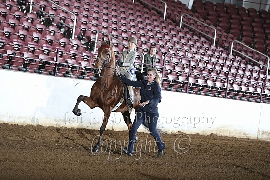 Open W-T-J Equitation, Any Seat, 11& Under