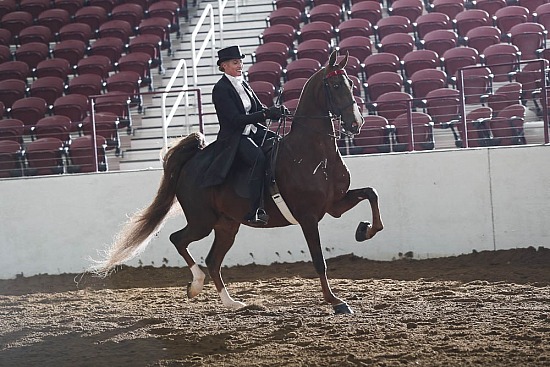 Three Gaited