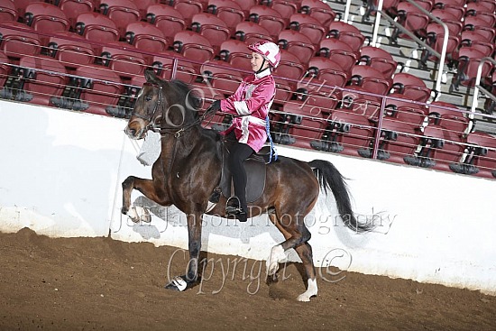 Roadster Pony Under Saddle, AHHS Youth Medallion