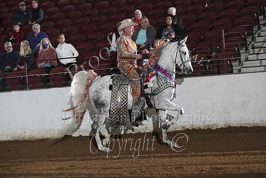 Open Parade Horse Championship