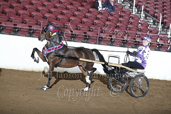 Roadster Pony to Bike Championship