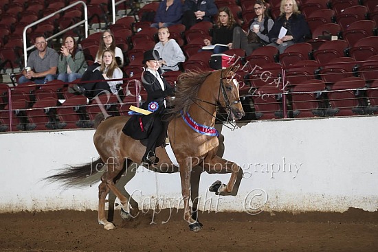 Open W-T-J Pleasure, Any Seat, Championship