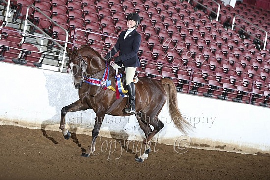 Open Hunter Pleasure Championship