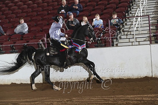 Open Western Pleasure Championship