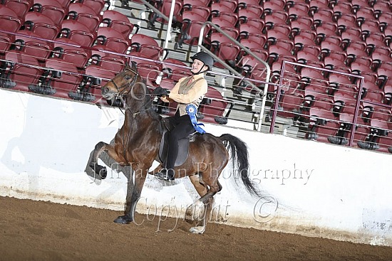 Pleasure Pony Under Saddle AHHS Youth Medallion