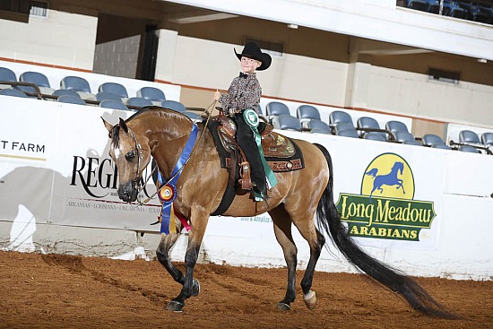 Walk Trot - Leadline