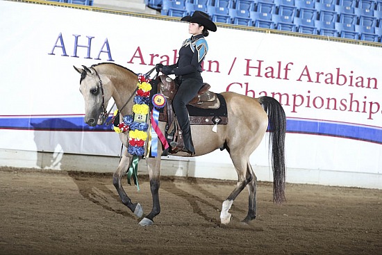 Equitation-Horsemanship