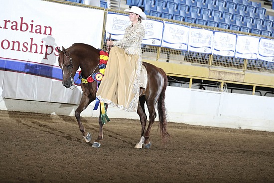 PB & HA Side Saddle