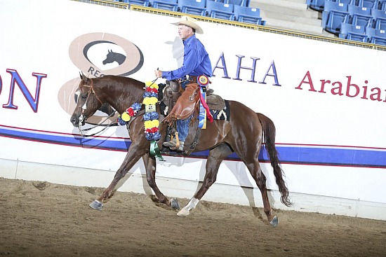 PB & HA Ranch Riding