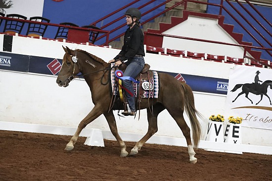 WD Seat Medal Equitation