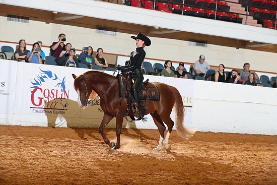 Equitation-Horsemanship