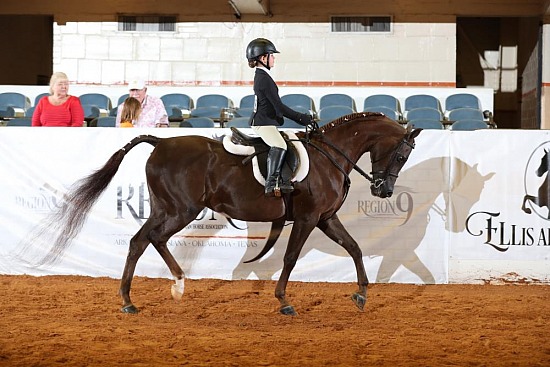 Walk Trot - Leadline