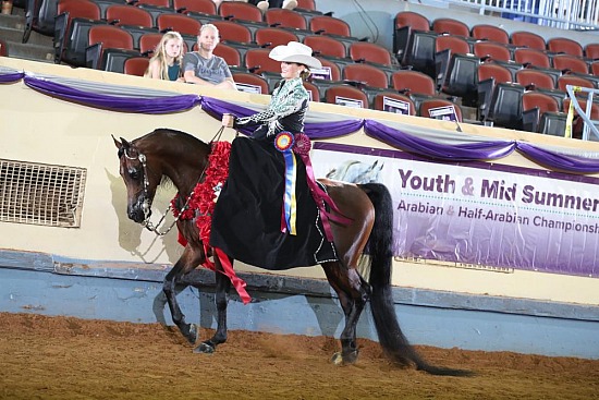 PB & HA Side Saddle