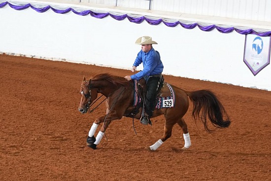 PB & HA Reining