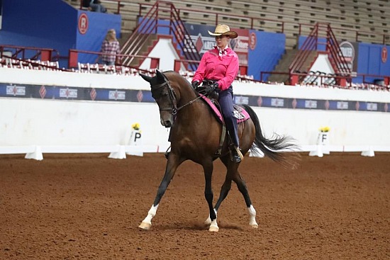 Horse Number 101 - 149