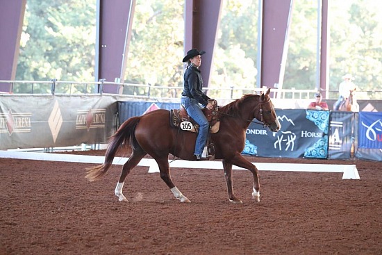 Dressage Rides by Horse Number