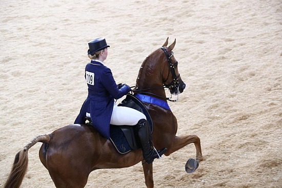 PB & HA Show Hack