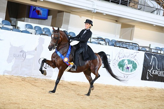 PB  & HA Park Horse